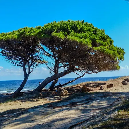 Apartment - A 100 Mt Dal Porto